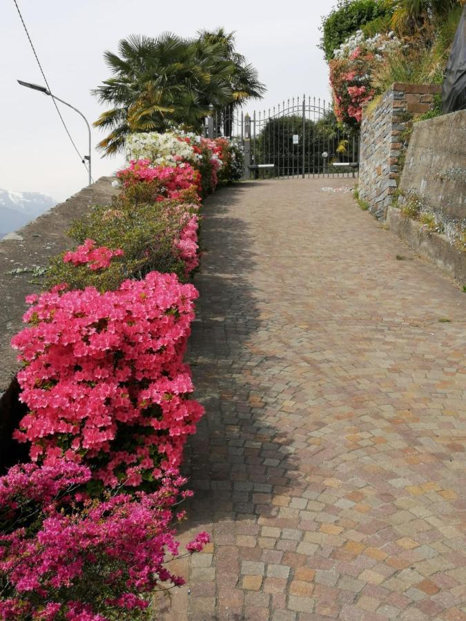 Villetta Primavera Verbania Exteriör bild